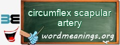 WordMeaning blackboard for circumflex scapular artery